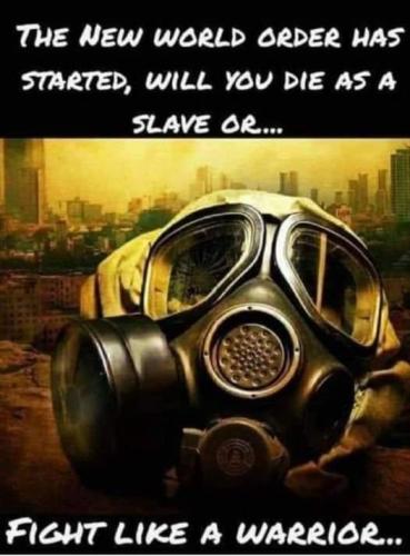 FB_IMG_1658420879292