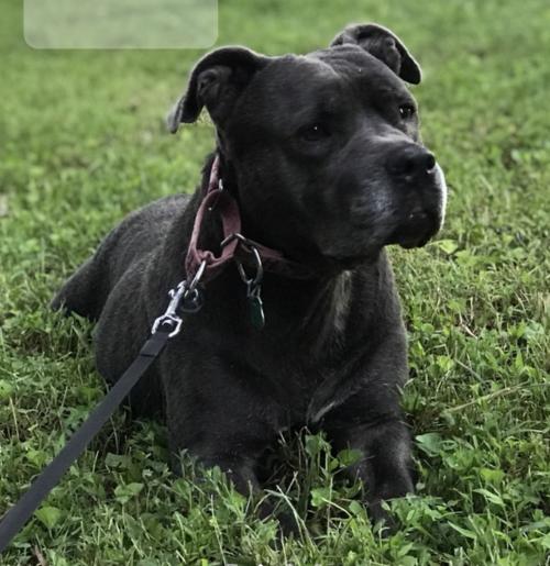 Screenshot_20211109-102450_One UI Home