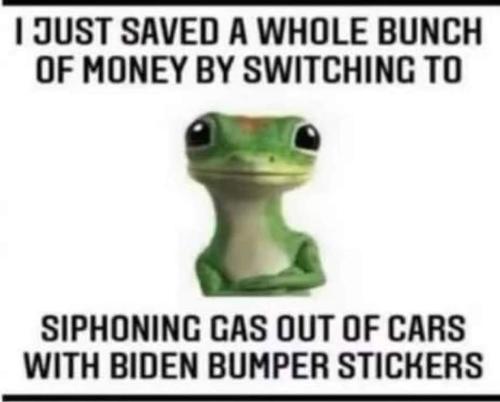 FB_IMG_1657906728266