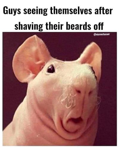 FB_IMG_1657385868851