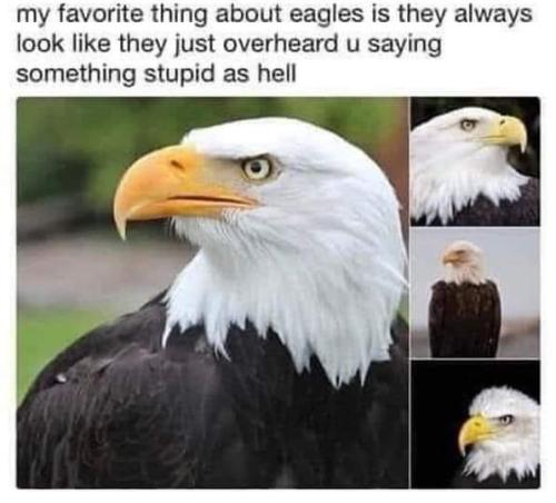 FB_IMG_1659106468506
