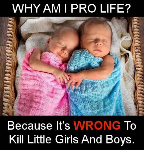 pro life wim 2