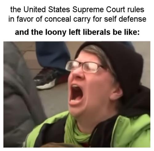 the United States Supreme Court rules in favor of conceal carry for self defense