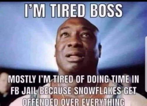 FB_IMG_1657658649104
