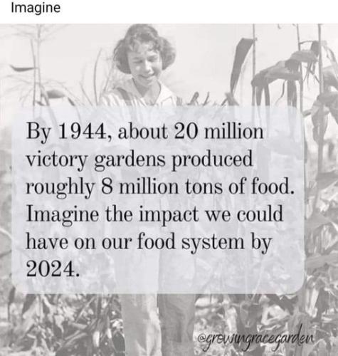 290955148_5240942469333141_3431457600923343230_n