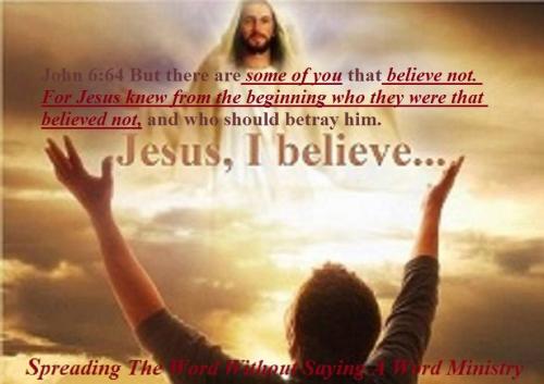 12552625_982938078454990_5755459896738068707_n