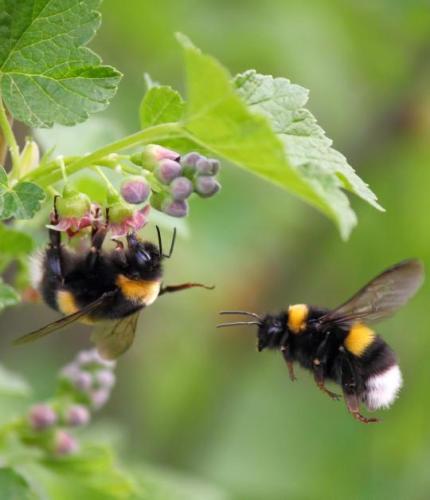 tumblr_cd7089193d96bd88bf7279b512743a7b_e17d122a_540