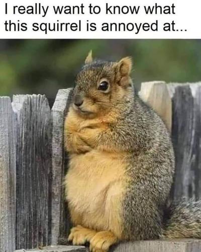 FB_IMG_1659128250987