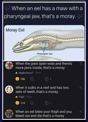 FB_IMG_1658252239942