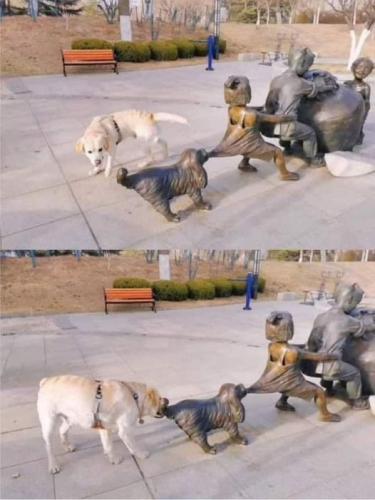 291836969_144578018240852_3587926206534356912_n