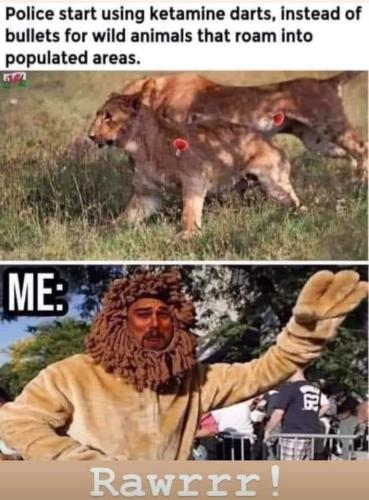 FB_IMG_1657657114890