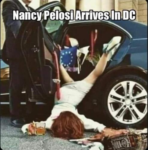 pelosi dc