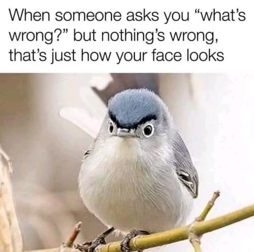 1657833294560