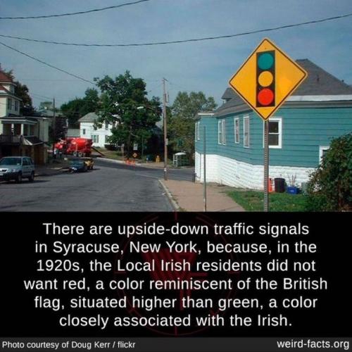 291867178_10166251921190005_8008505984752066913_n