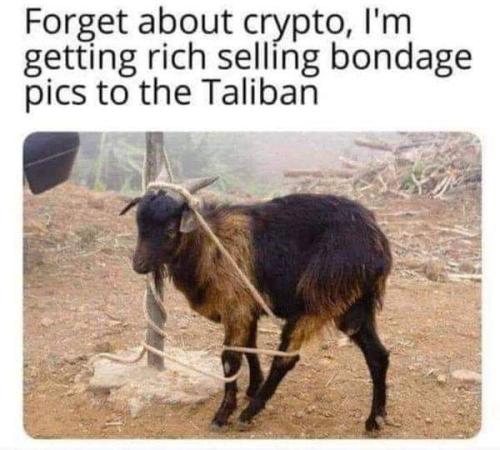 FB_IMG_1657933678423