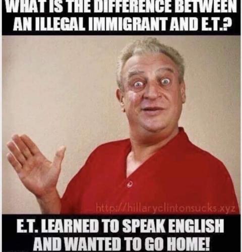 FB_IMG_1658451873924