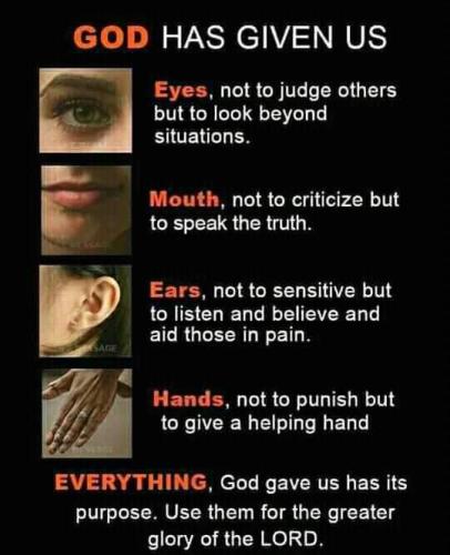 FB_IMG_1658856467467