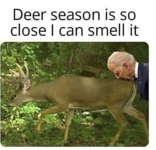 FB_IMG_1658949509478
