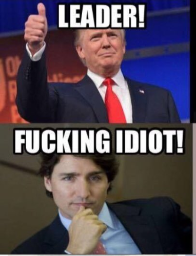 Trump Leader v Idiot