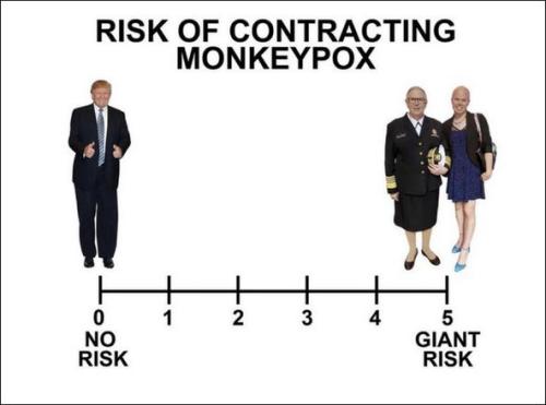 monkeypox37