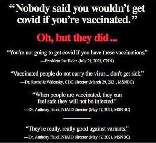 CE90B279-6467-4D30-AE65-62EA6B24C9C3-41984-0000065C3290EC37