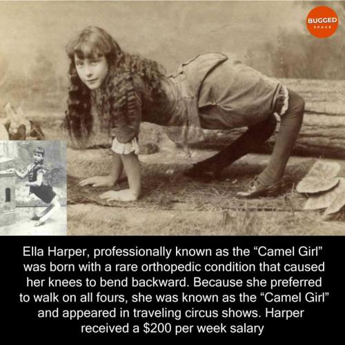 292617395_813202633419292_6219393216571956162_n