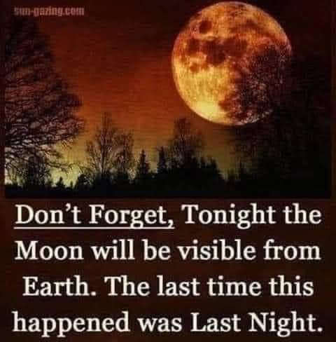 FB_IMG_1659061923862