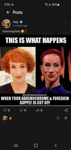 img - 2022-07-09T171632.221