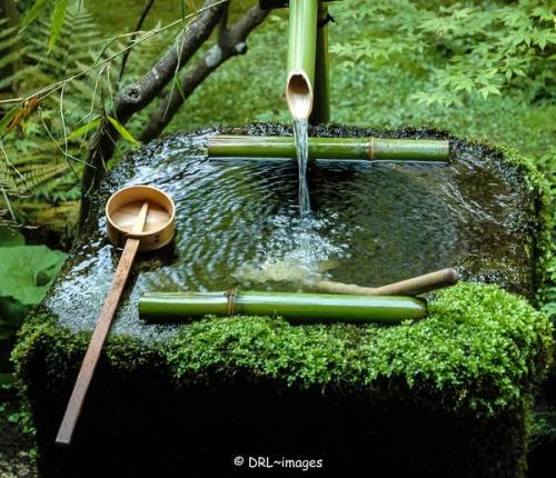 13724853_1469006266458374_5185535509394901115_o