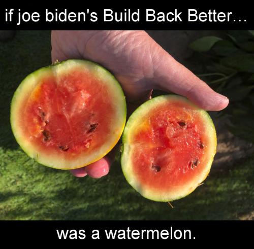 buildbackbetter71