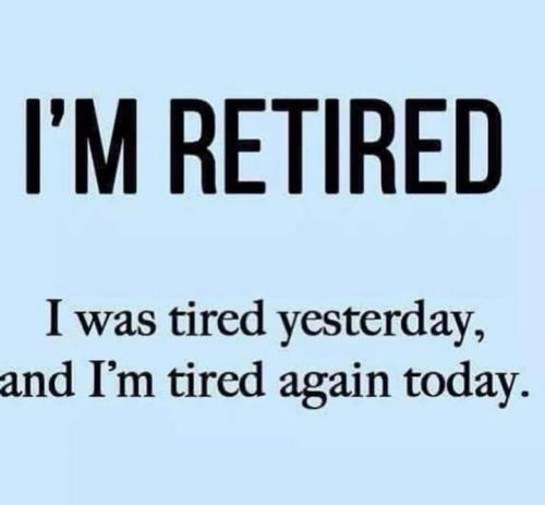 56367289_2337227596600841_9010425436605251584_n