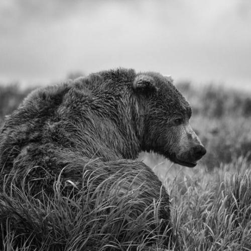 tumblr_9244a114e8f63591cda434c49b7644d7_08d6a524_540