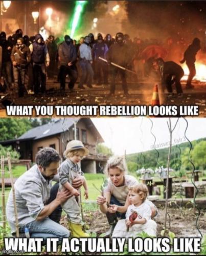 Screenshot_20220709-202255_MeWe