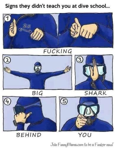 FB_IMG_1656979683025