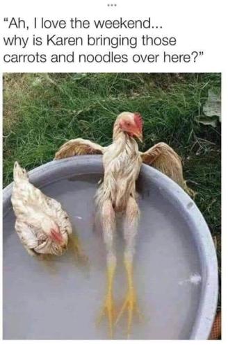 tumblr_d334338f4c56c8cdaf36badd5ffd686d_c447f732_640