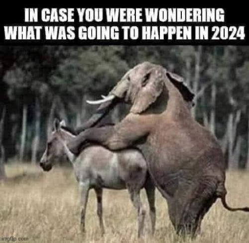 FB_IMG_1658252556589