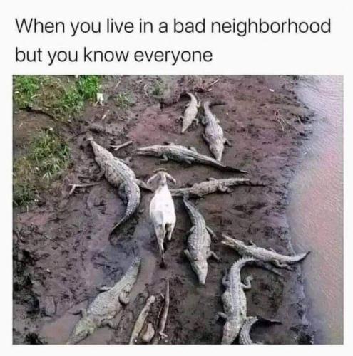 FB_IMG_1658927044708