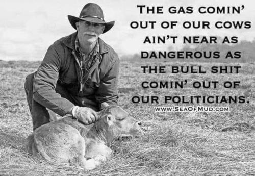 FB_IMG_1658743069694