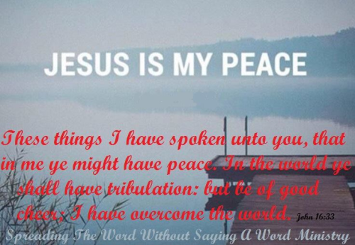 295585237_580200116982322_8308120064338617534_n