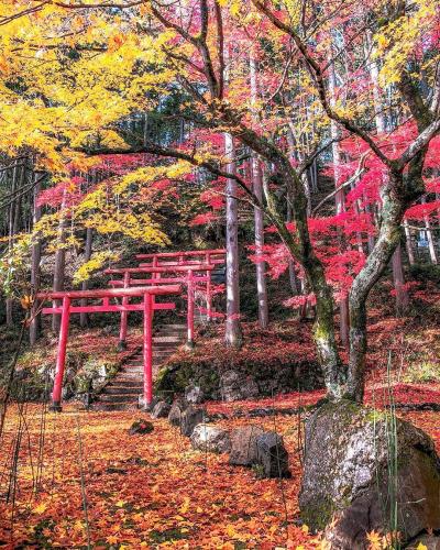 24291795_10208126002387986_8276853110067992930_o