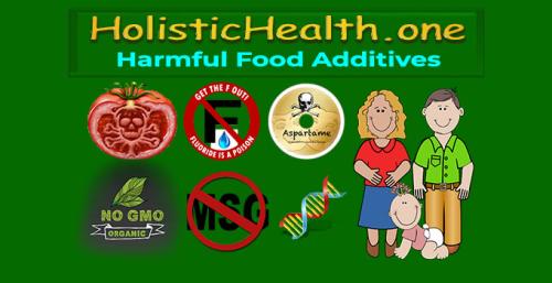 HolisticHealth.one - Harmful Food Additives