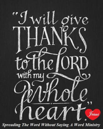 12592307_984548931627238_4941888637367496027_n