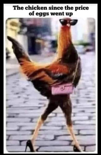 294280876_5130151850427158_5108668826595288441_n