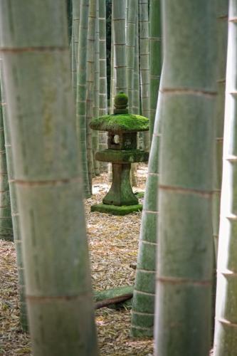 f50bce6b3fc689e32bae12506bfca839