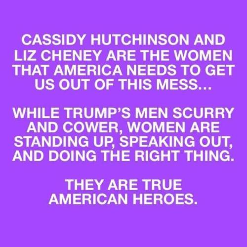 FB_IMG_1656474073316