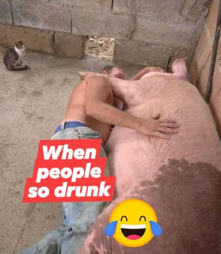 FB_IMG_1659370844801