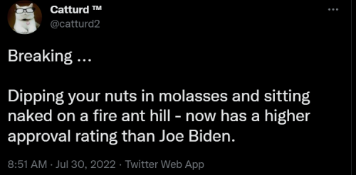 Biden 1