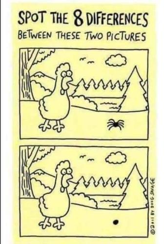 297858431_169420715612175_2915817017006307047_n