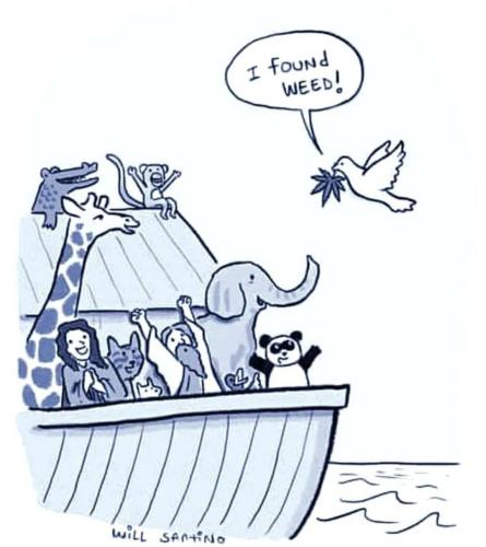 photo_2022-07-31_17-10-18