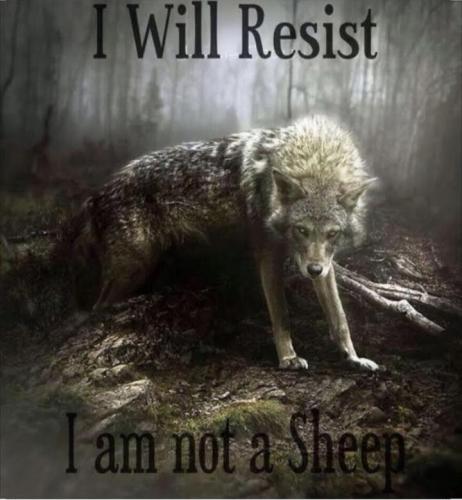 Screenshot_20201219-000345_Wimkin